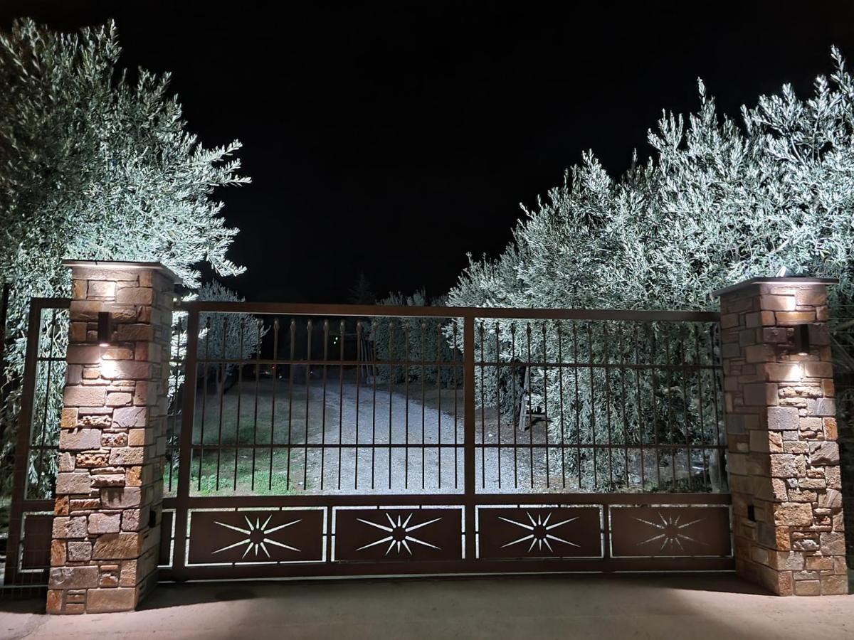 Apartment Viewing Garden Волос Екстериор снимка